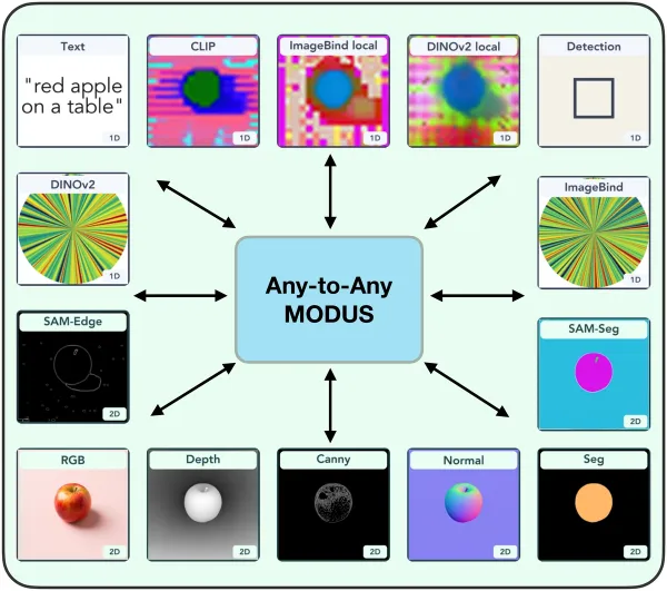 MODUS: Decoder-only Any-to-Any Modeling of Diverse Modalities